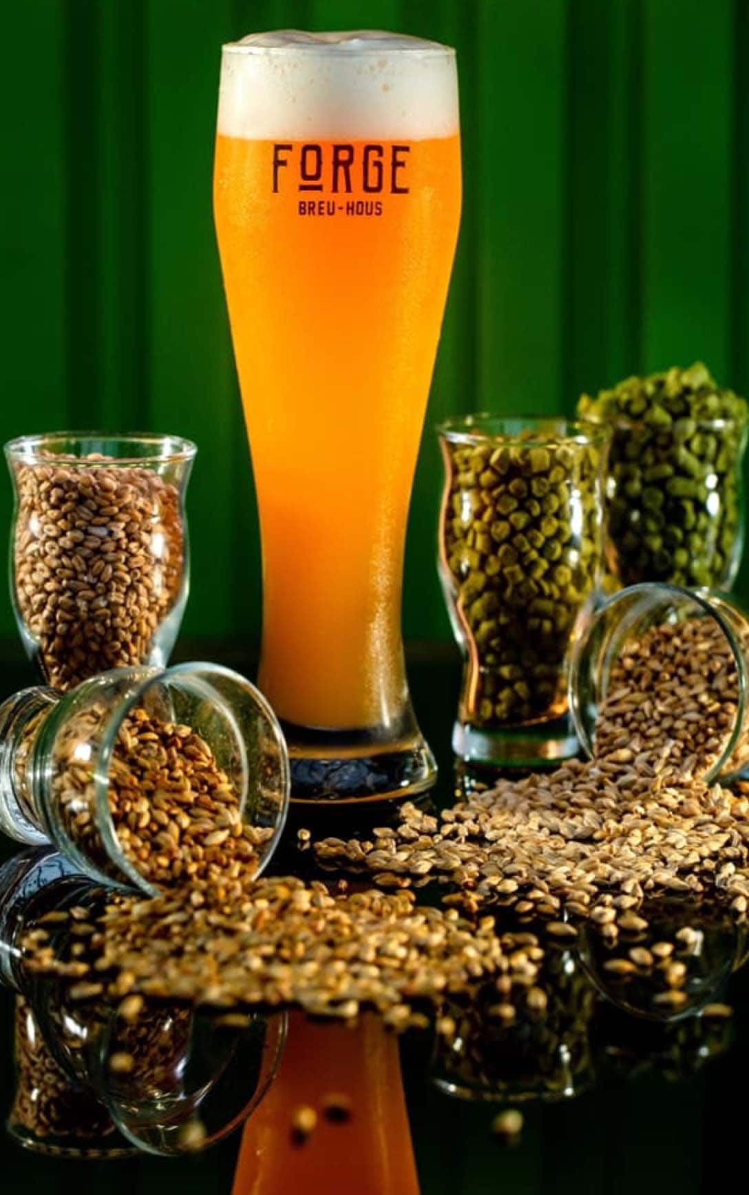 Forge Breu-Hous - Photo 2