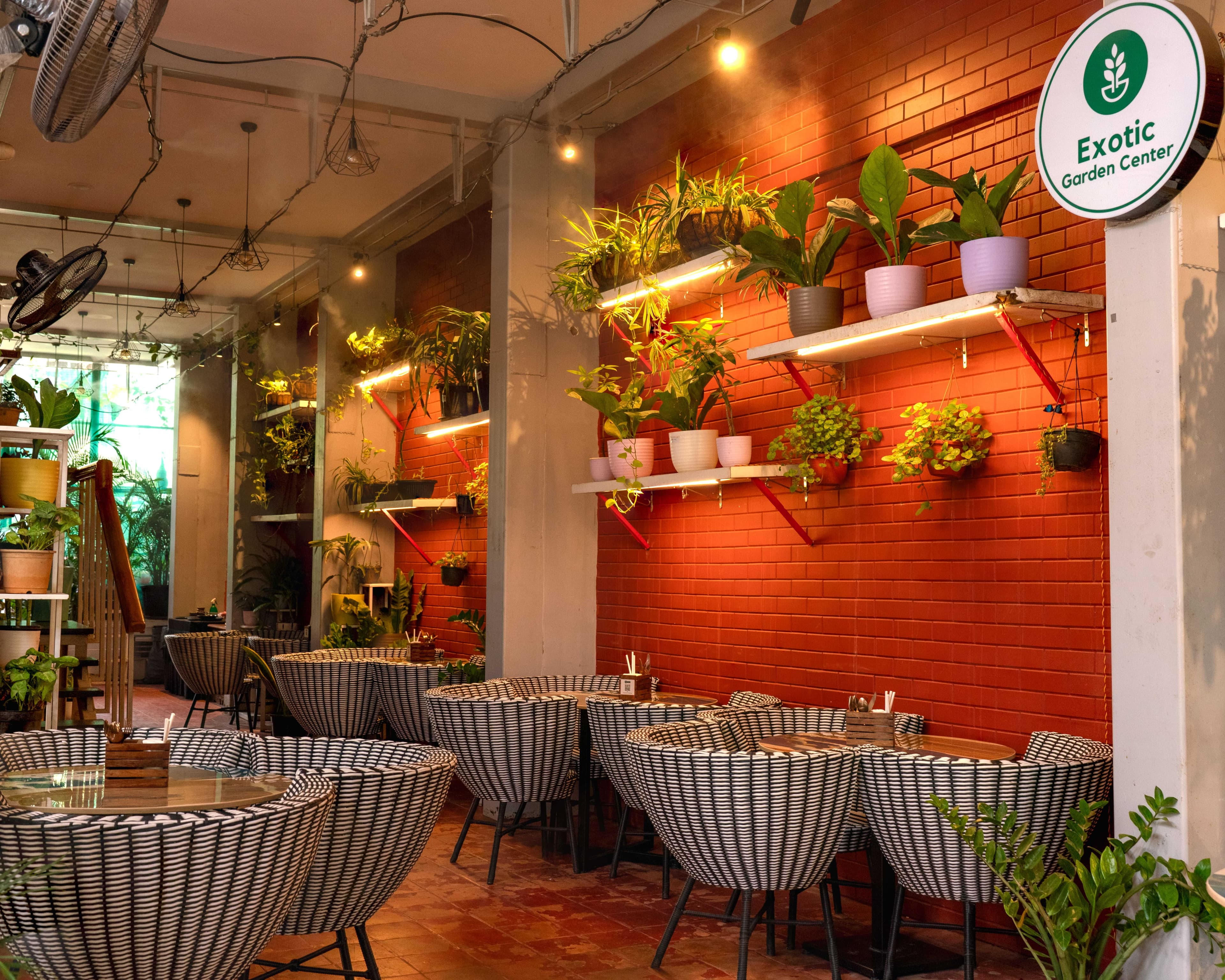 Urban Nemo Cafe - Photo 5